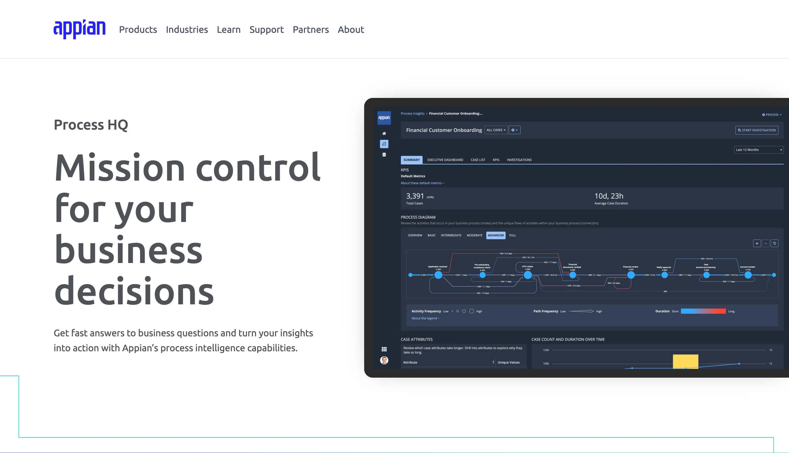 Appian Process HQ interface